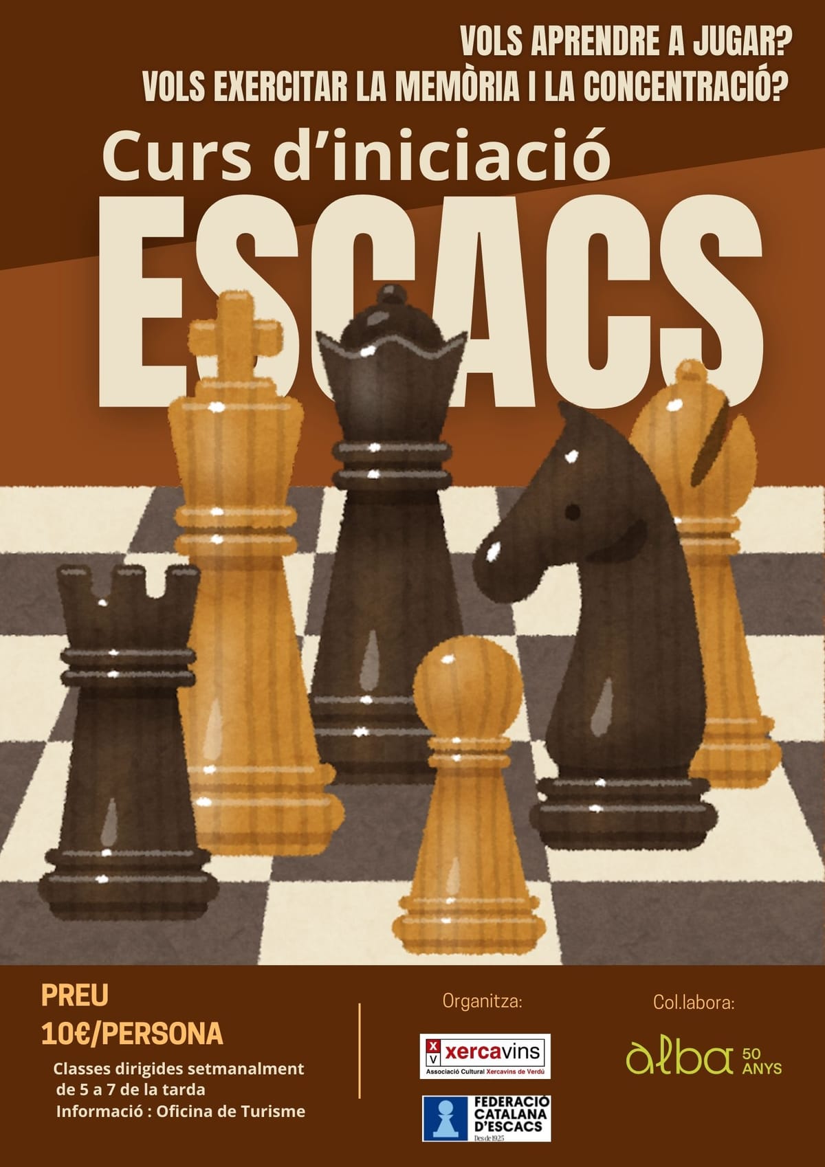 Curs d'iniciació als escacs